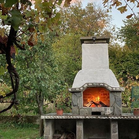 Къща За Гости Ягода Saparewa Banja Exterior foto
