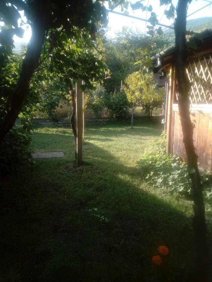 Къща За Гости Ягода Saparewa Banja Exterior foto