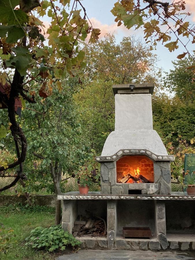 Къща За Гости Ягода Saparewa Banja Exterior foto